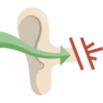 Graphic of sound going into an ear